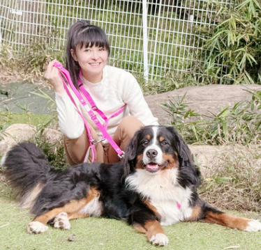ニュース-06-22-2025_08_13_PM